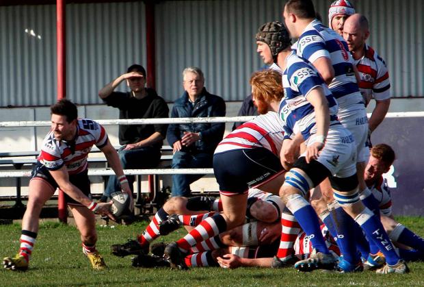 Streatham Guardian: Set up: Matt Heeks begins another Park move in Saturday’s win over Tynedale Picture: David Whittam Streatham Guardian: Set up: Matt Heeks begins another Park move in Saturday’s win over Tynedale Picture: David Whittam