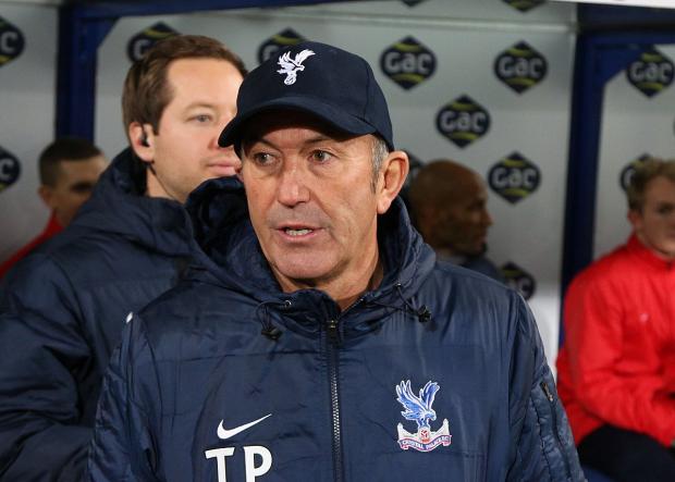 Streatham Guardian: Not a happy bunny: Tony Pulis Streatham Guardian: Not a happy bunny: Tony Pulis