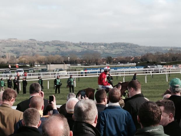 Streatham Guardian: The New One parades prior to the Champion Hurdle Streatham Guardian: The New One parades prior to the Champion Hurdle