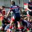 Streatham Guardian: Opener: Hugo Ellis gets over for Park's first try against Doncaster Knights All pictures: David Whittam Streatham Guardian: Opener: Hugo Ellis gets over for Park's first try against Doncaster Knights All pictures: David Whittam