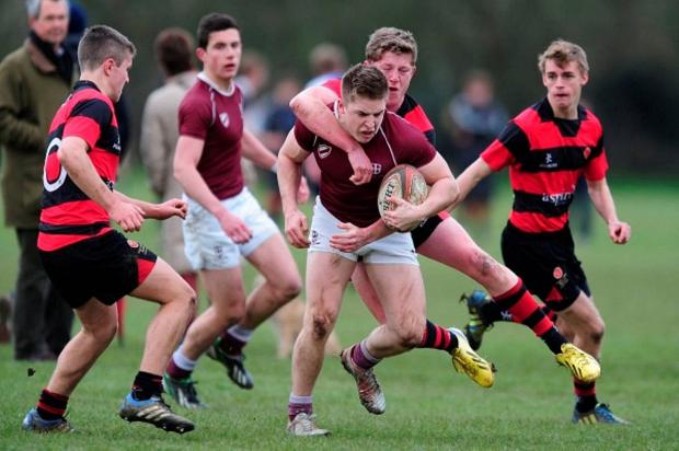 Streatham Guardian: Not this time: King’s College skipper Will van Klaveren Streatham Guardian: Not this time: King’s College skipper Will van Klaveren