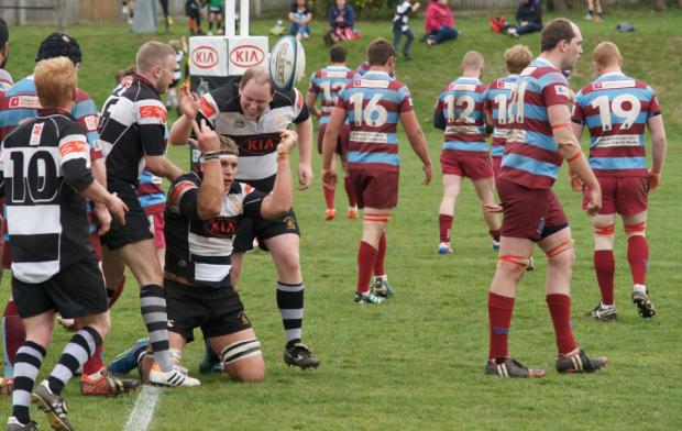 Streatham Guardian: In your face: Shawn Renwick throws the ball up to celebrate his try against Hove All pictures: Dave Jackson Streatham Guardian: In your face: Shawn Renwick throws the ball up to celebrate his try against Hove All pictures: Dave Jackson