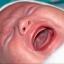 Streatham Guardian: You would cry too if your parents tried to name you Smelly Head or Sex Fruit Streatham Guardian: You would cry too if your parents tried to name you Smelly Head or Sex Fruit