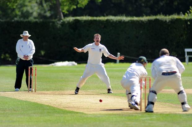 Streatham Guardian: Time up: Patrick Turk, appealing for an LBW against Wimbledon’s James Bett last season, has left Spencer CC after 10 years at the club Streatham Guardian: Time up: Patrick Turk, appealing for an LBW against Wimbledon’s James Bett last season, has left Spencer CC after 10 years at the club