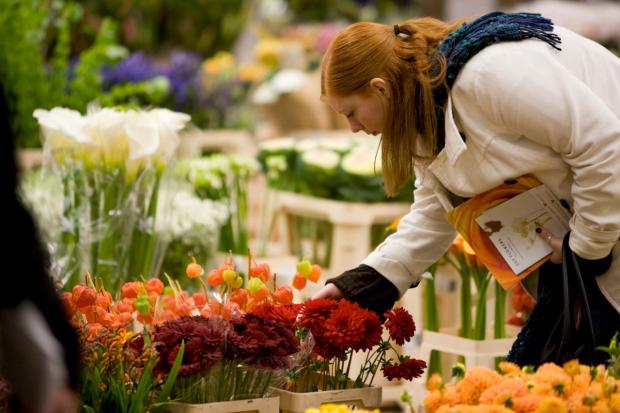 Streatham Guardian: New Covent Garden Market's fantastic flower stalls will form part of the Fringe's offering Streatham Guardian: New Covent Garden Market's fantastic flower stalls will form part of the Fringe's offering