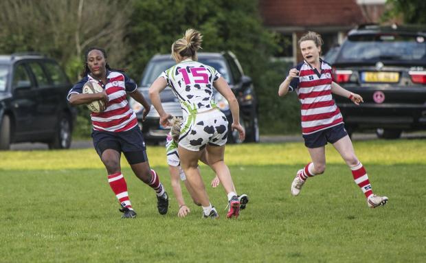 Streatham Guardian: Tough night: Elicia Davis of Rosslyn Park attacks the Moody Cows, with Danielle Williams in support Streatham Guardian: Tough night: Elicia Davis of Rosslyn Park attacks the Moody Cows, with Danielle Williams in support