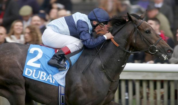 Streatham Guardian: Kingston Hill and jockey Andrea Atzeni, pictured here winning the Autumn Stakes, have been tipped to win this year's Derby by the Amato pub's wishing well Streatham Guardian: Kingston Hill and jockey Andrea Atzeni, pictured here winning the Autumn Stakes, have been tipped to win this year's Derby by the Amato pub's wishing well