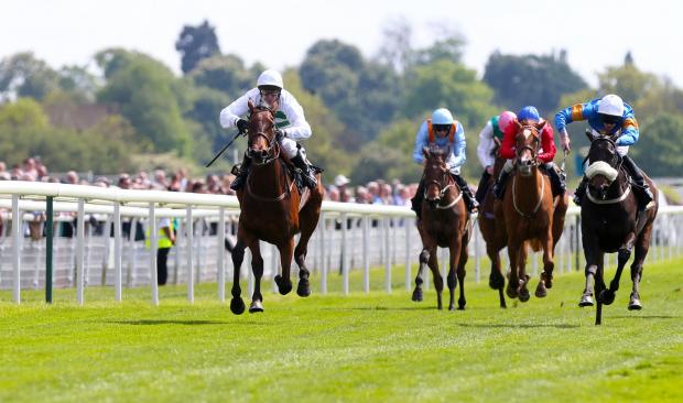 Streatham Guardian: Royal Ascot is on Saturday, but there are plenty of races to go before then. Streatham Guardian: Royal Ascot is on Saturday, but there are plenty of races to go before then.