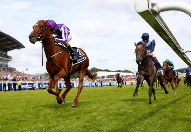 Streatham Guardian: Australia and Kingston Hill in the Investec Derby. Photo: racingfotos.com Streatham Guardian: Australia and Kingston Hill in the Investec Derby. Photo: racingfotos.com