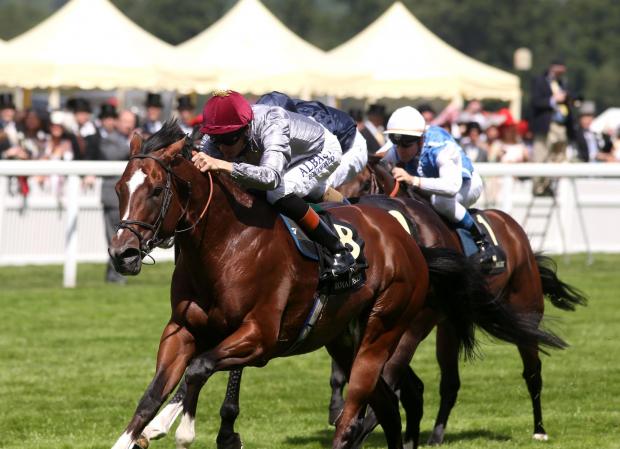 Streatham Guardian: Toronado and Richard Hughes on their way to victory at Royal Ascot on Tuesday Streatham Guardian: Toronado and Richard Hughes on their way to victory at Royal Ascot on Tuesday