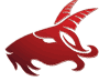 Capricorn