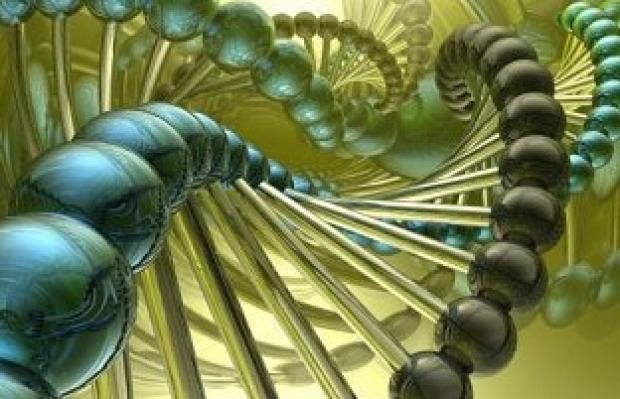 Warning over DNA "database of innocents".