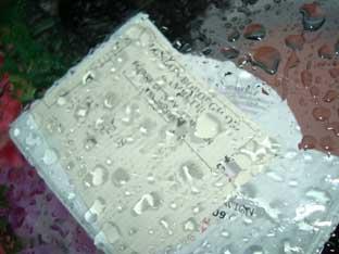 Overzealous? This is a photo of how the ticket obscured Vissey Safavi’sparking permit