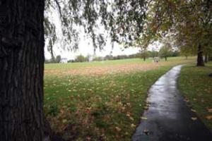 Does Streatham Common need revitalising?