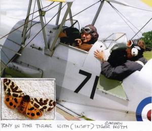 Choks away: Tony Drakeford at the helm of a vintage Toger Moth biplane and, inset, the insect it was named after